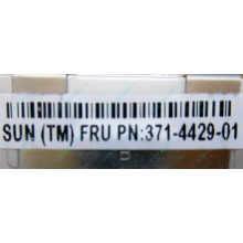 Серверная память SUN (FRU PN 371-4429-01) 4096Mb (4Gb) DDR3 ECC в Ноябрьске, память для сервера SUN FRU P/N 371-4429-01 (Ноябрьск)