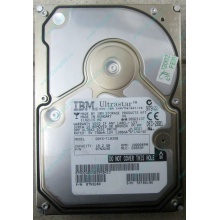Жесткий диск 18.2Gb IBM Ultrastar DDYS-T18350 Ultra3 SCSI (Ноябрьск)