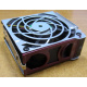 HP 224977 (224978-001) for Proliant ML370 G2/G3/G4 (Ноябрьск).