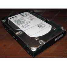 Жесткий диск 300Gb 15k Dell 9CH066-050 ST3300656SS Cheetah 15K.6 6G SAS (Ноябрьск)
